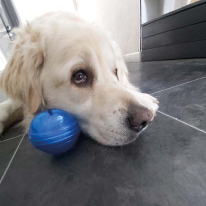 Hero Soft Rubber Treat Dispensing Ball 3 Dog Toy