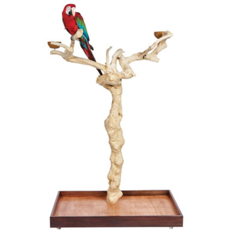 Java Duo Tree – Large – Natural Hardwood Parrot Playstand