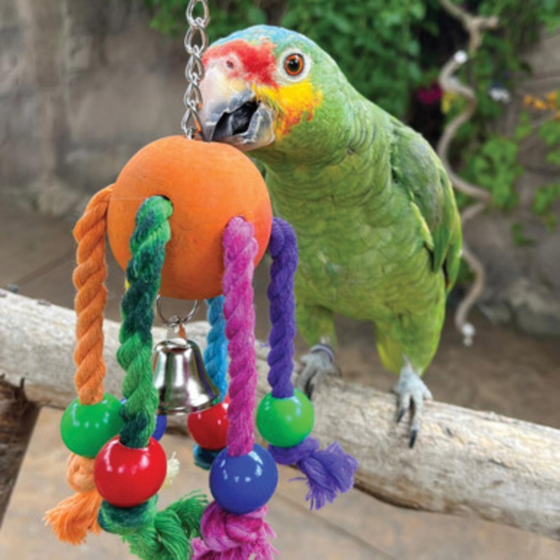 Jiggly Bug Wood and Rope Parrot Toy