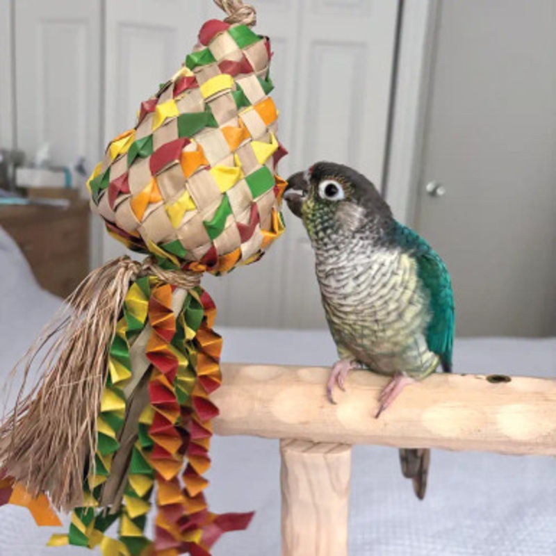 Kiss Pinata Small Natural Woven Palm Leaf Parrot Toy