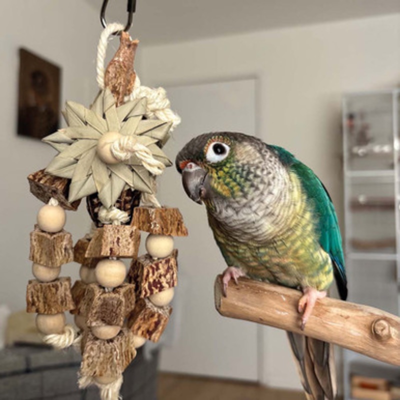 Mahogany Feast Naturals Chew and Shred Parrot Toy