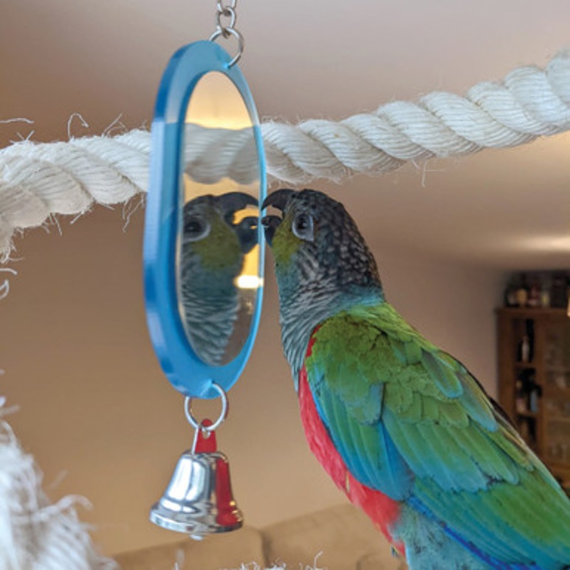 Mirror Parrot Toy