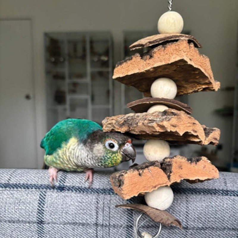 Natural Cork Stacker Parrot Toy