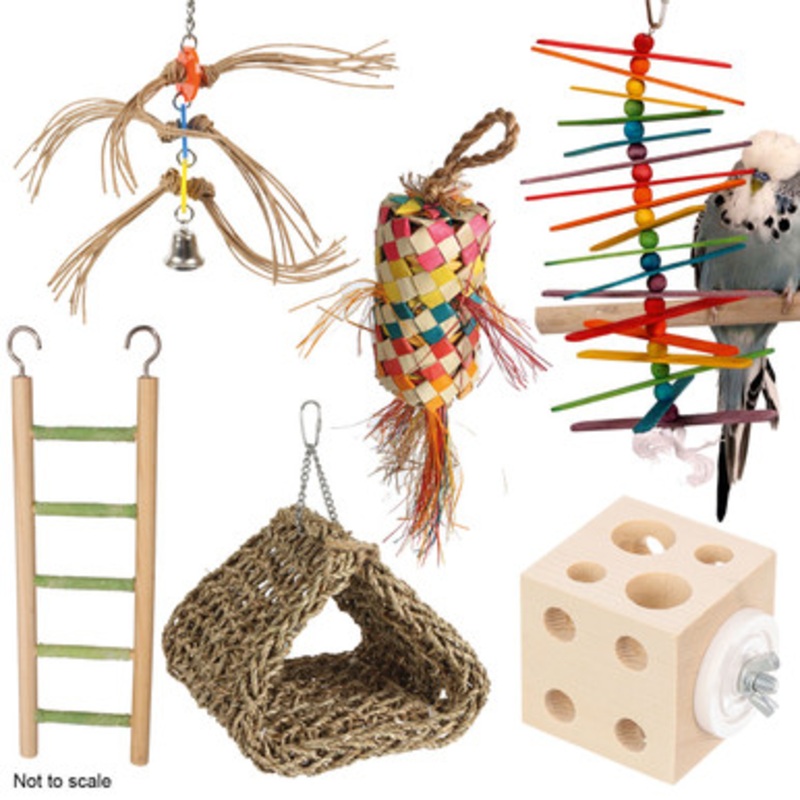 Northern Parrots Budgie Parrot Toy Pack