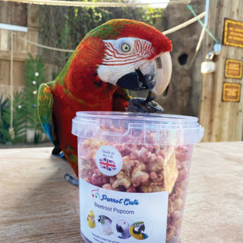 Parrot Cafe Parrot Popcorn Beetroot 40g