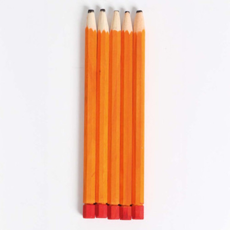 Parrot Pencil Foot Toys – Large – Pack of 5