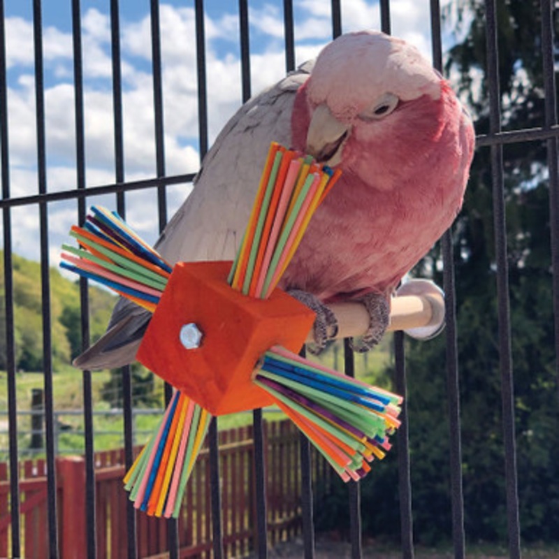 Party Perch Spinning Parrot Toy