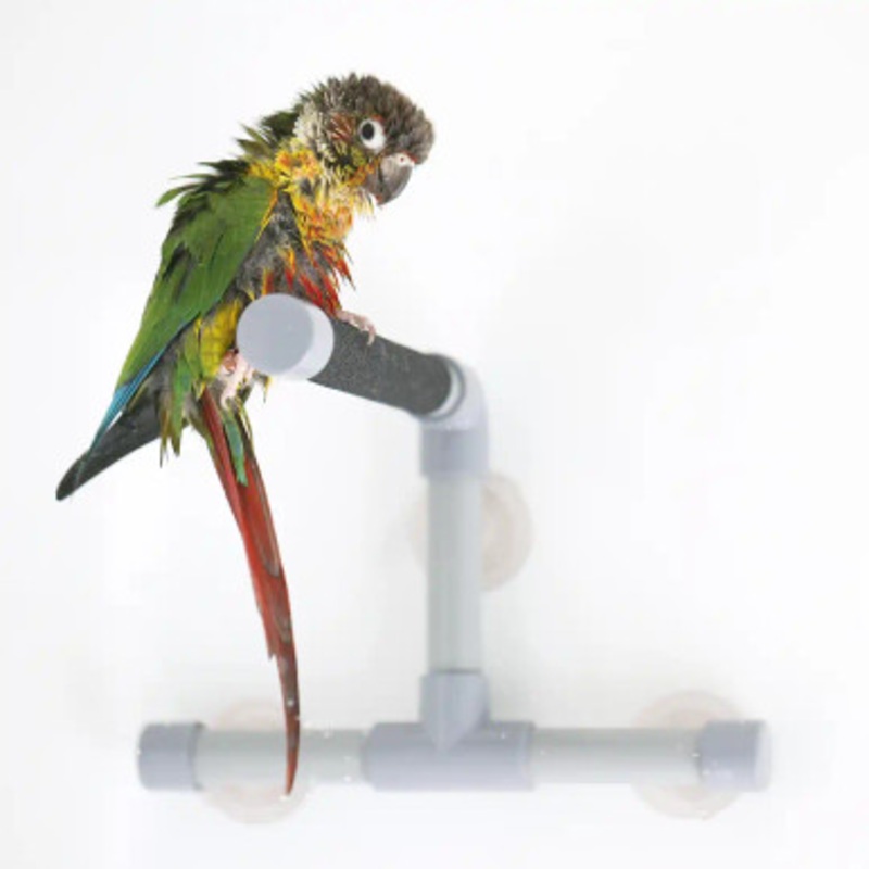 Shower and Window Sanded Parrot Perch Small