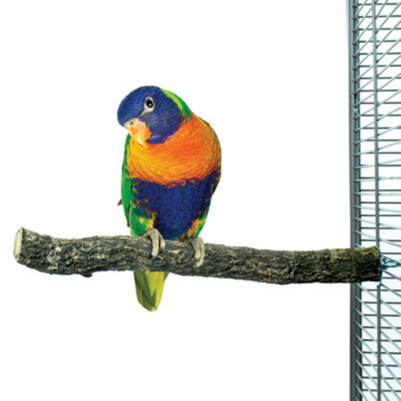 Back To Nature Cork Parrot Perch Medium
