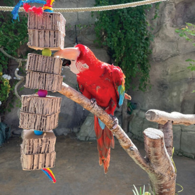 Blocks & Knots Chunky Cardboard Parrot Toy – Large