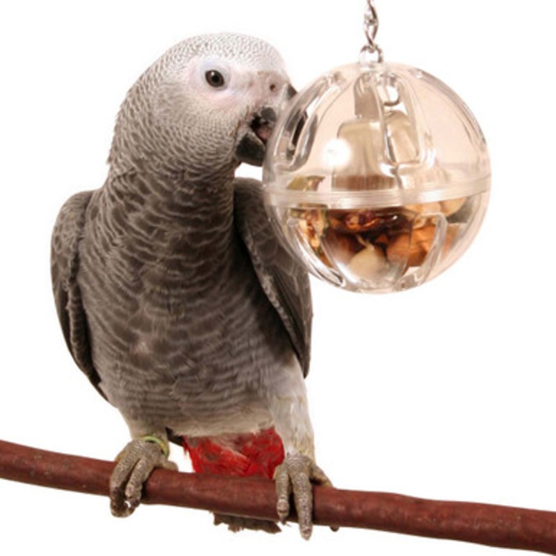 Buffet Ball with Bell – Tough Foraging Toy
