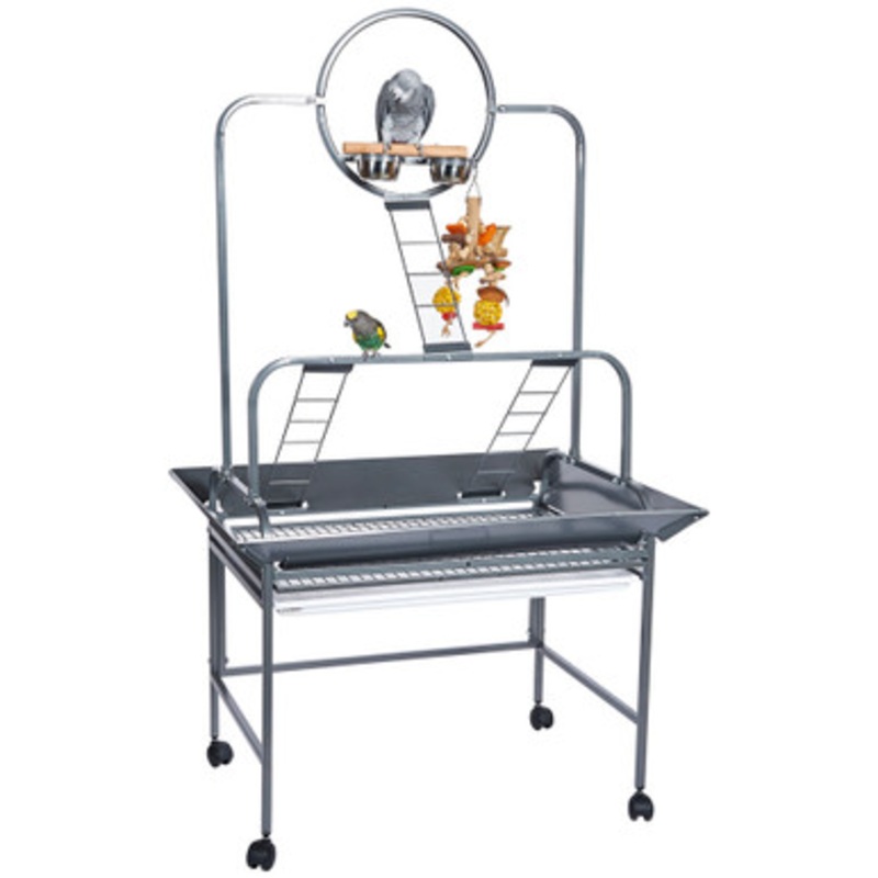 Guyana Parrot Play Gym Stand – Antique