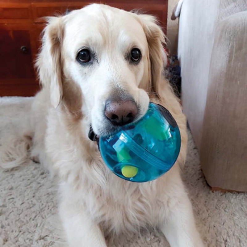 Hero Giggle Treat Ball Dispensing Dog  Toy