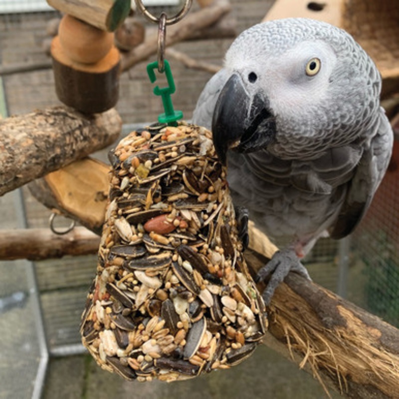 Johnsons Parrot Bumper Treat Seed Bell – 150g