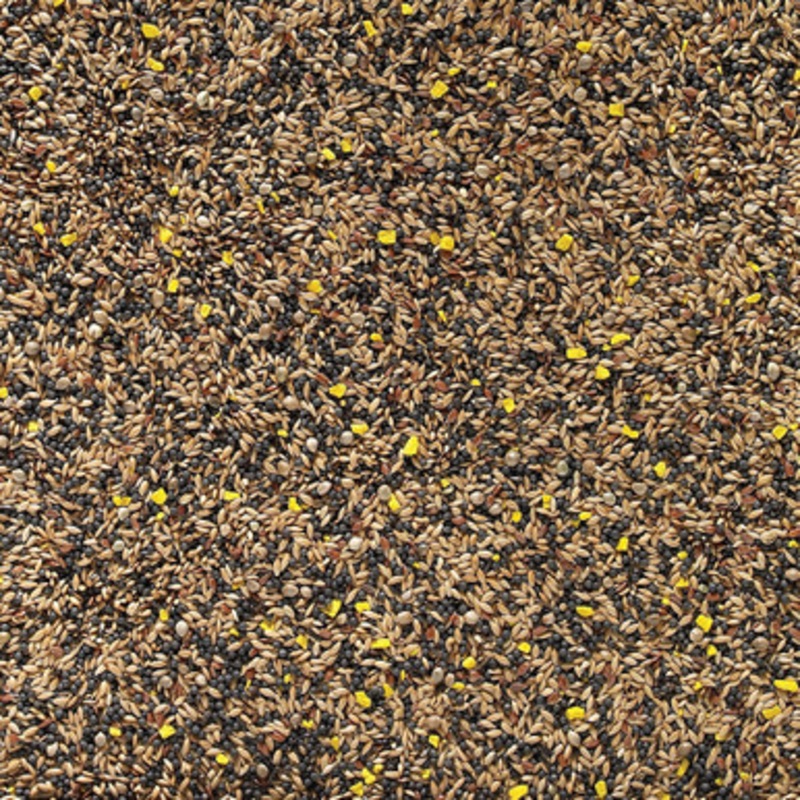 Johnston and Jeff Favourite Mixed Canary Seed 1Kg