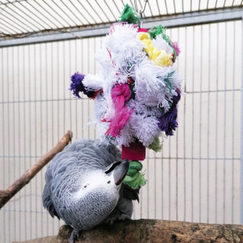 Knotty Preener Parrot Toy – Medium