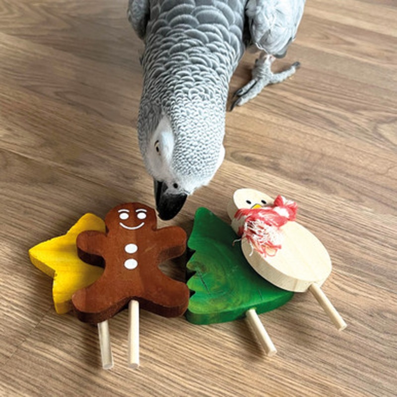 Large Festive Lollipop Parrot Foot Toys – Pack of 4