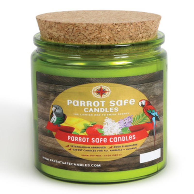 Parrot Safe Candle – No Scent – Pure Soy