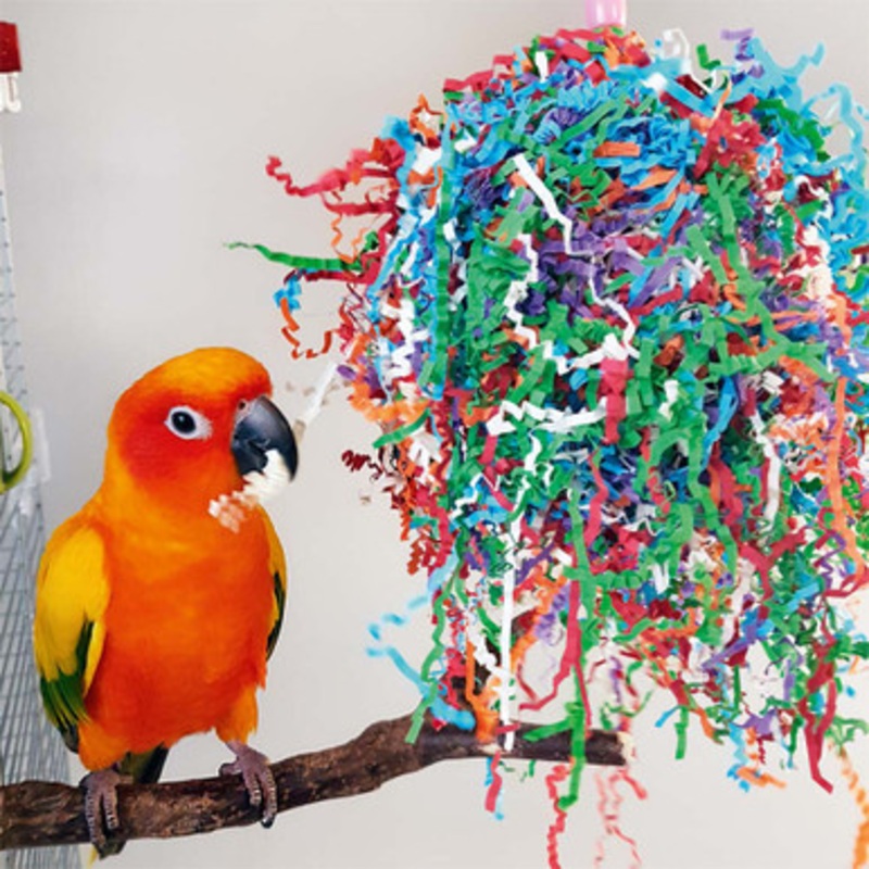 Party Paper Preener Parrot Toy