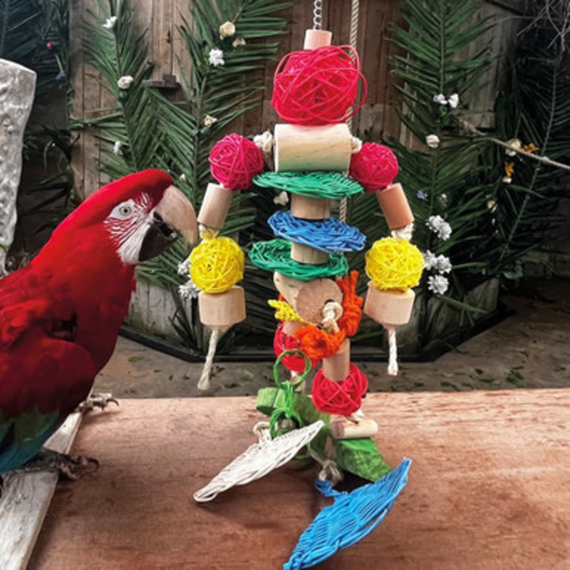 Robot Parrot Toy