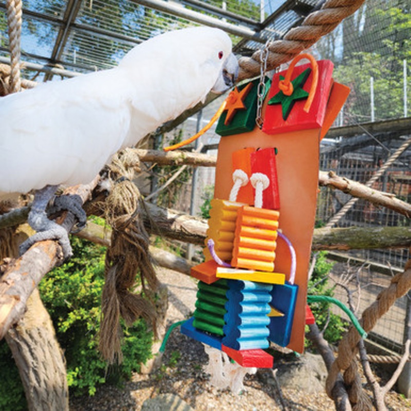 Agabus Wood & Rope Parrot Toy – Large