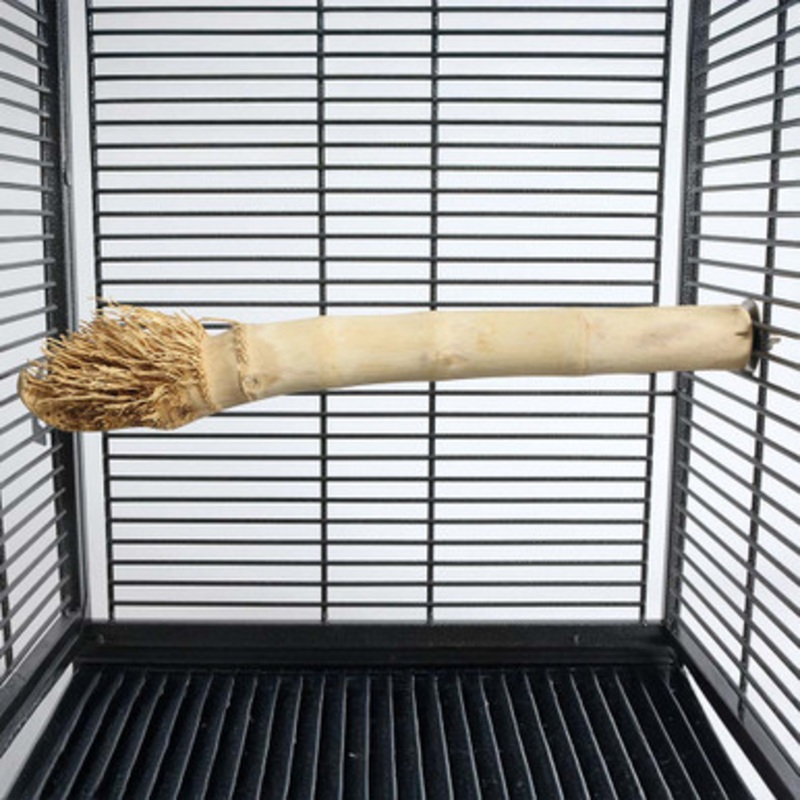 Bamboo Root Wood Natural Parrot Perch Large