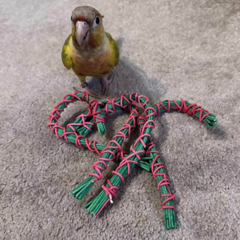 Christmas Candy Cane Shaped Parrot Foot Toys – Pack of 4