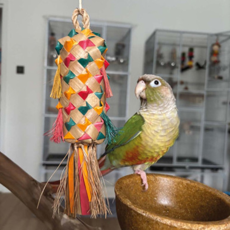 Coloured Pinata Spiked Palm Leaf Shredding Parrot Toy Small