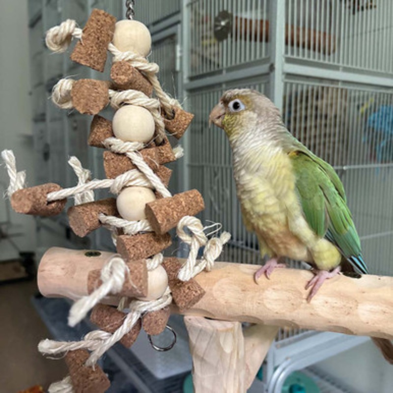 Cork Chaos Parrot Toy