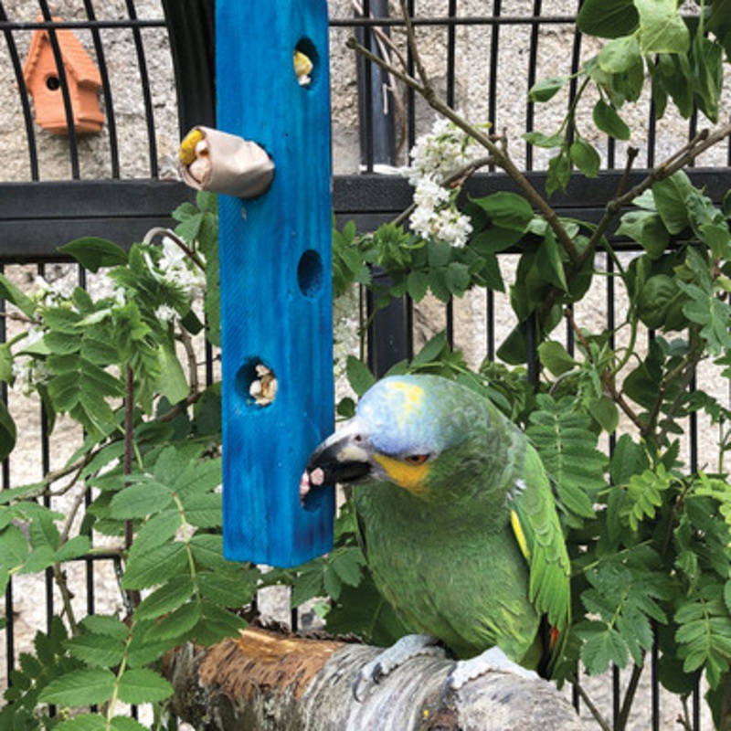 Fill Me Up – Foraging Parrot Toy – Large