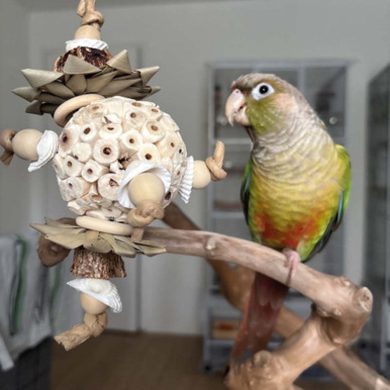 Forest Bouquet Naturals Pick and Preen Parrot Toy