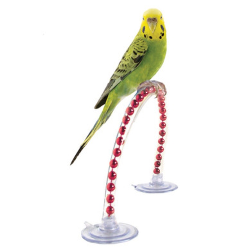 Happy Parrot Perch – Small
