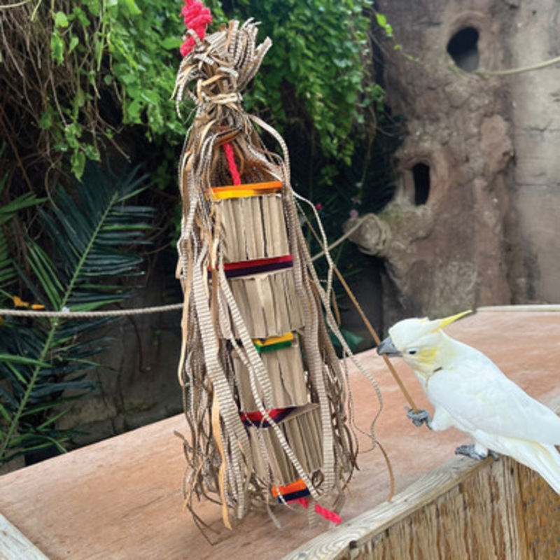 Le Tenda Shreddable Cardboard Parrot Toy