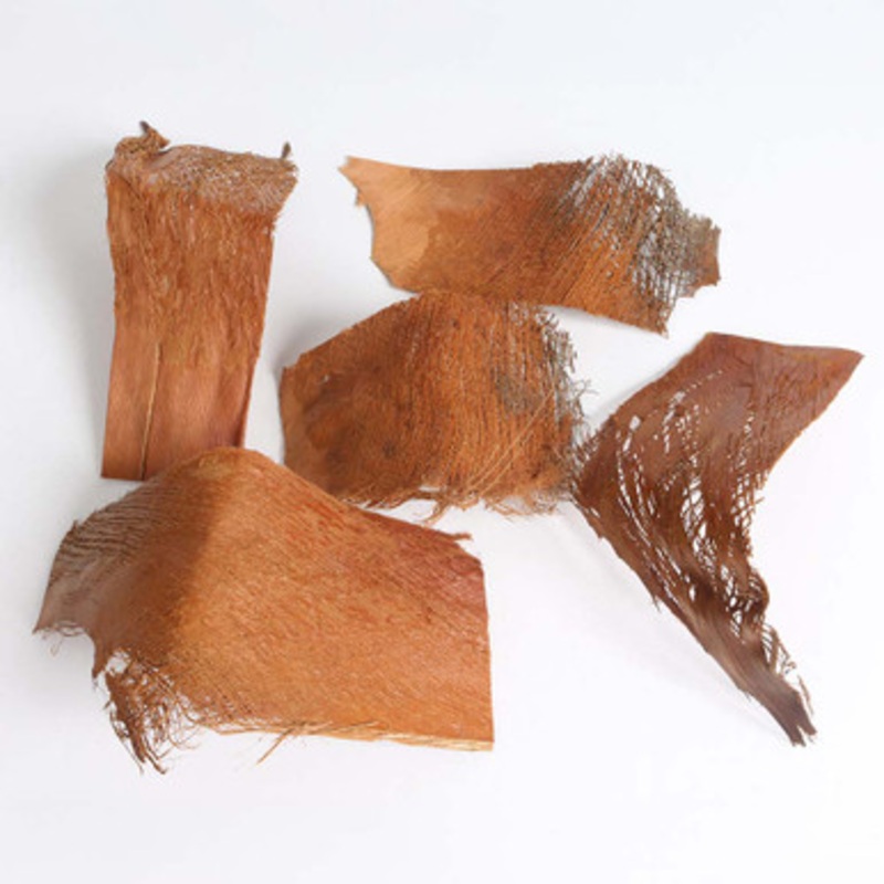 Natural Palm Bark Enrichment Chews for Parrots