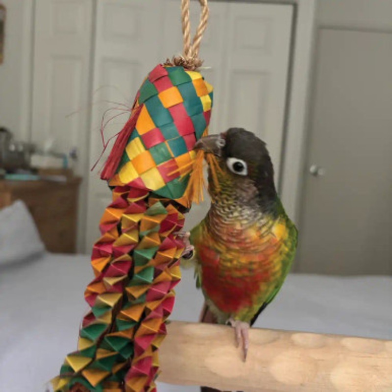 Octopus Pinata Small Natural Woven Palm Leaf Parrot Toy