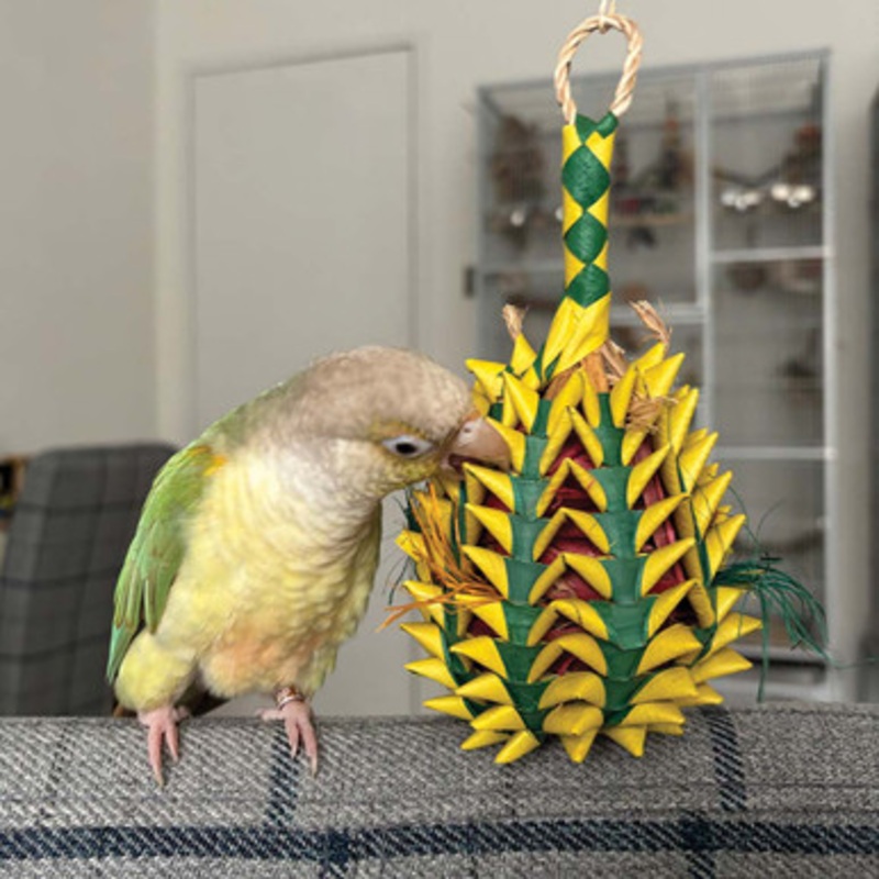 Pineapple Pinata Medium Natural Woven Palm Leaf Parrot Toy