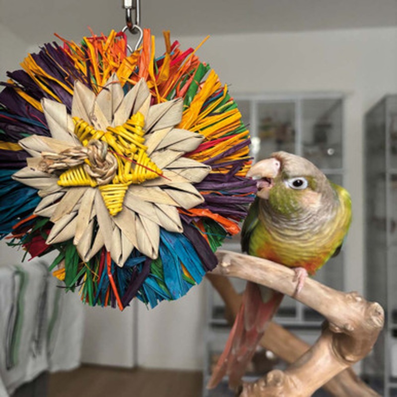 Rainbow Raffia Naturals Shredding Parrot Toy