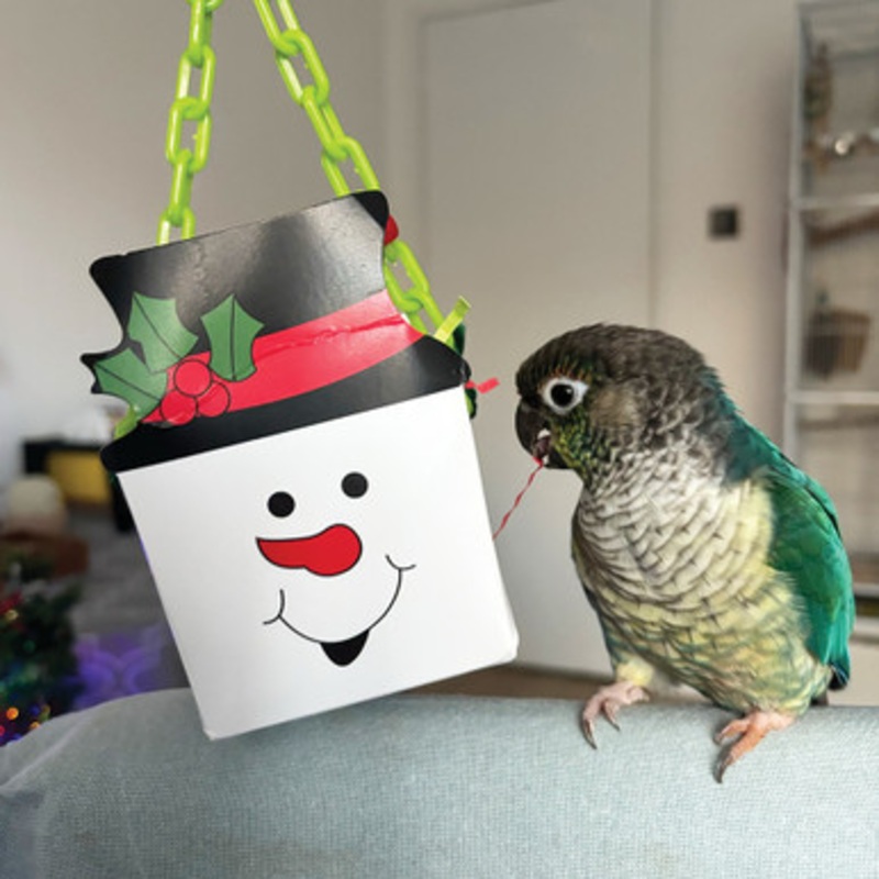 Snowman Foraging Goodie Box Chewable Parrot Toy