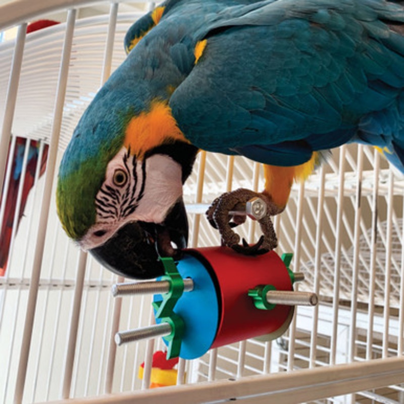 The Busy Barrel Foraging Puzzle Parrot Toy