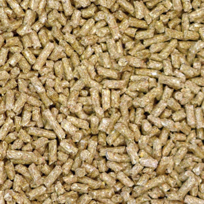 TOP’s Organic Parrot Food Large Pellets 25lb