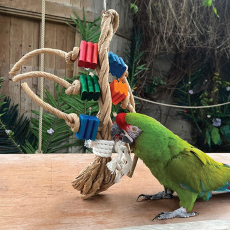 Zig-Zag Paper Rope Shredding Toy – Small