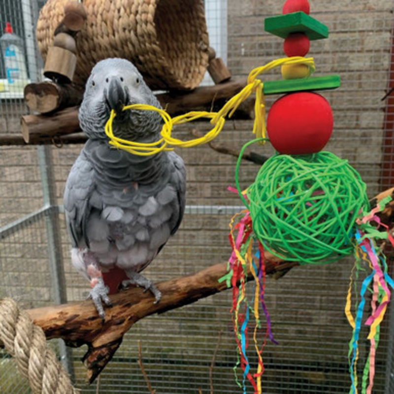 Festive Mega Munch Ball Christmas Parrot Toy
