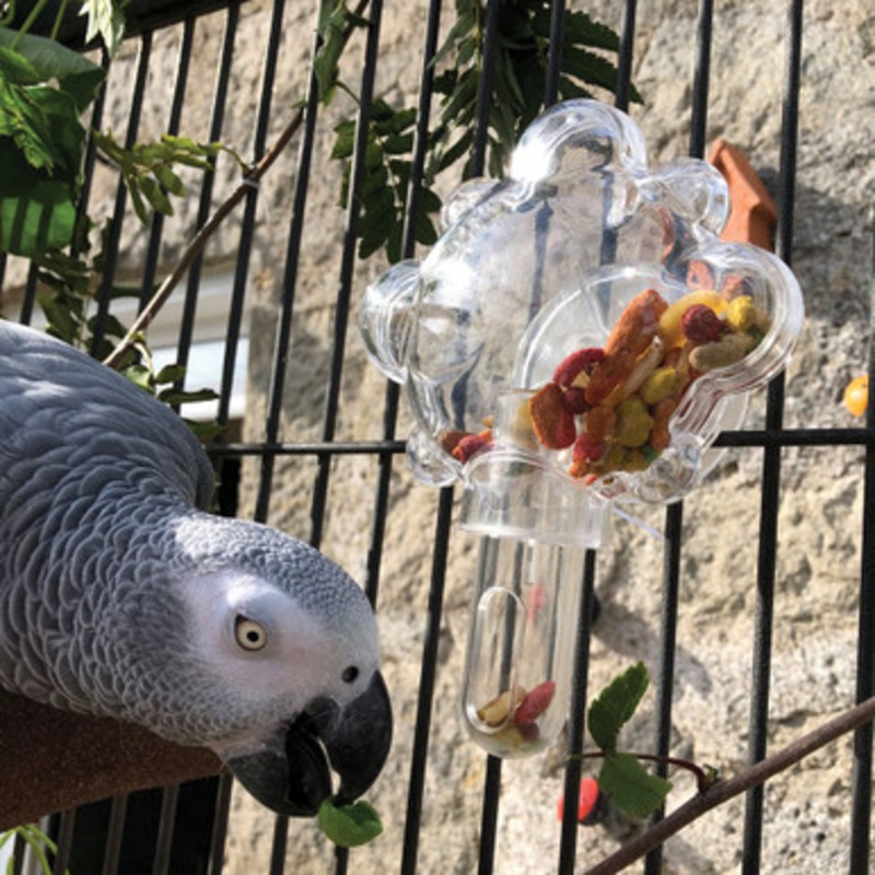 Food Tumbler Foraging Parrot Toy