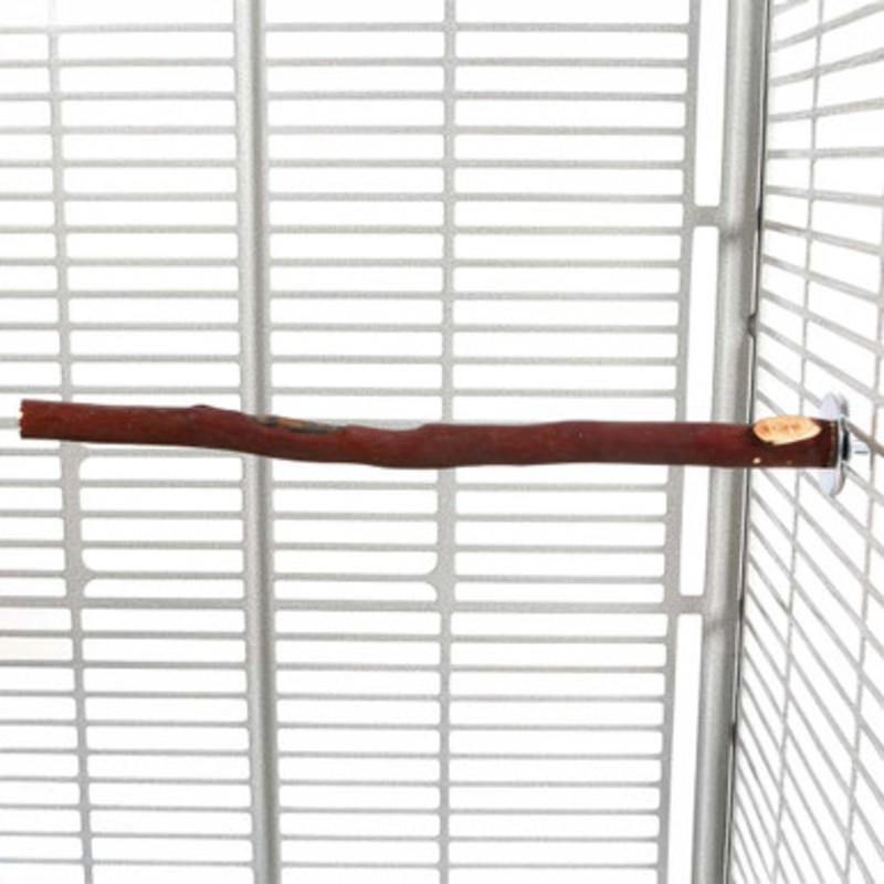 Manzanita Perch 12(30cm) – Medium – Hardwood Parrot Perch