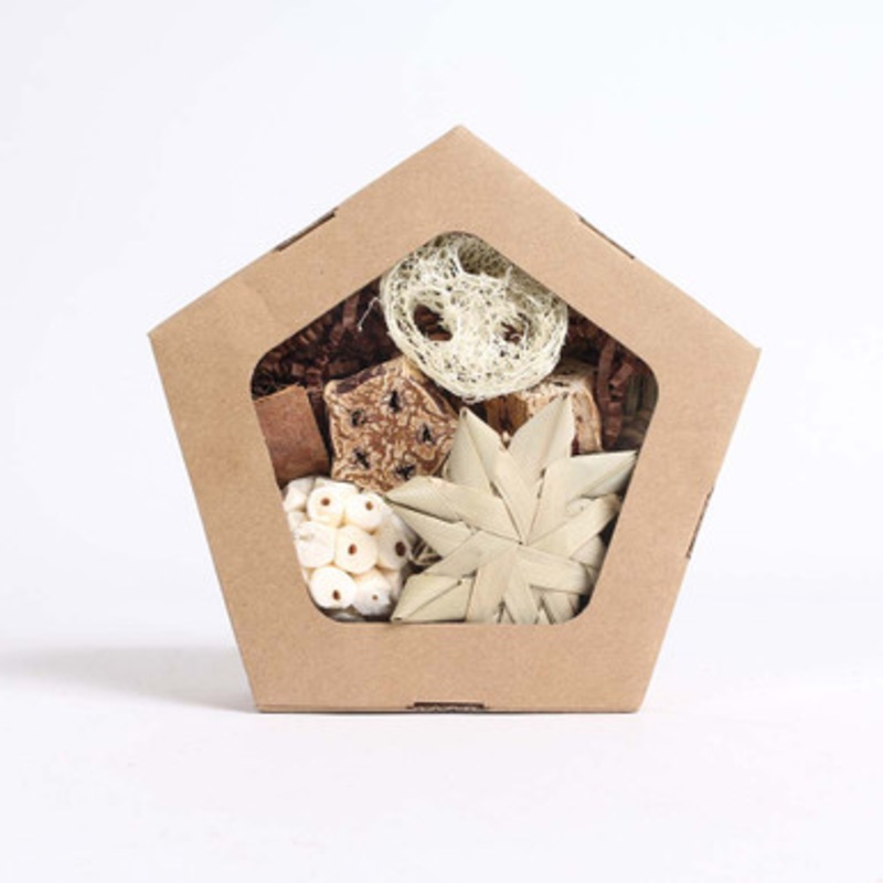 Natural Fun Small Pentagon Foraging Box Parrot Toy