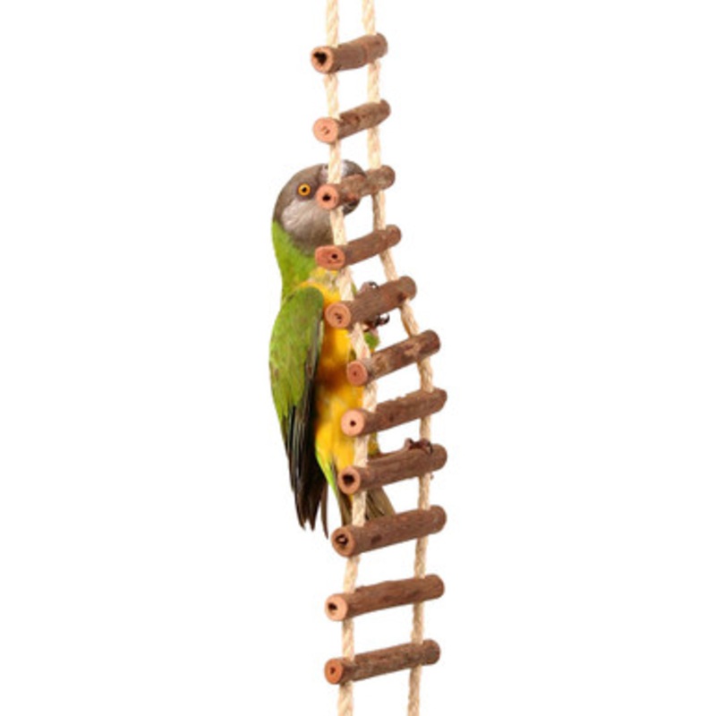 Natural Log Ladder Bridge Parrot Climbing Toy – Large
