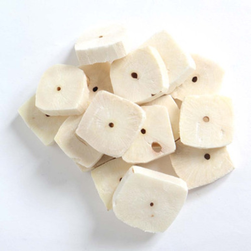 Pack of 16 Sola Squares Parrot Toy Making Parts
