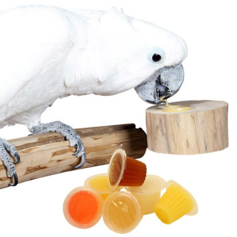 Pack of 6 Assorted Jelly Cups and Holder Bundle
