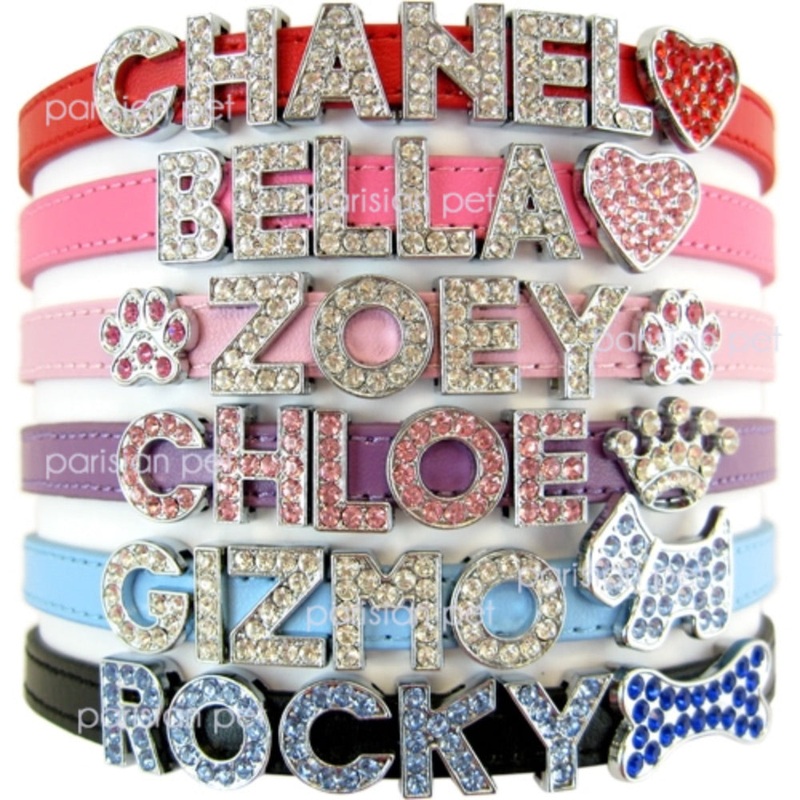 Parisian Pet Matte Collar|XX-Small|X-Small|Small|Medium|X-small|Xxs|Xs|Dark Pink|Blue|Red|Purple|Black|Light Pink|Light blue