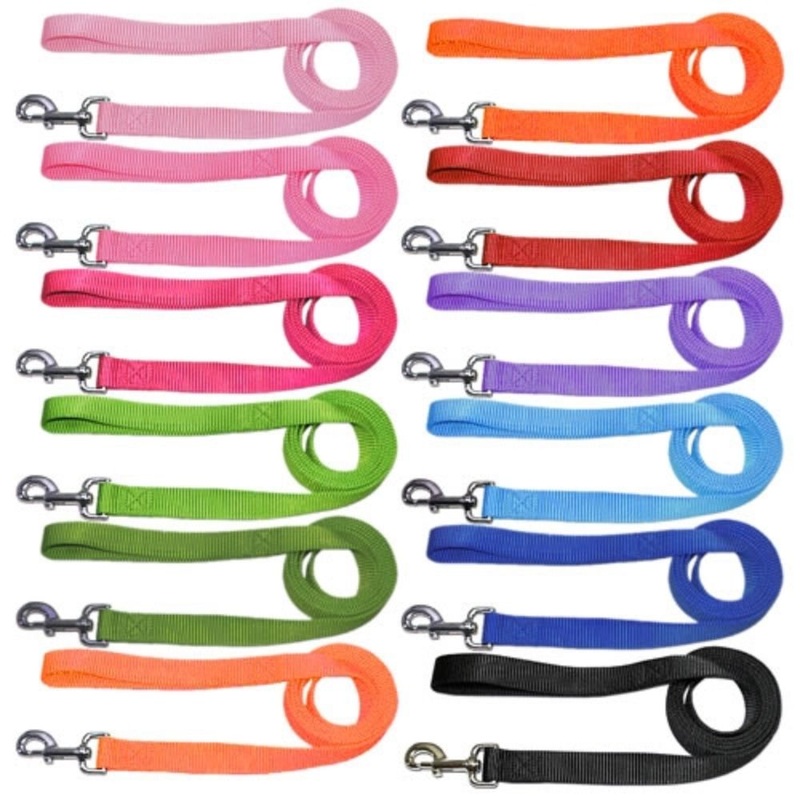 Parisian Pet Nylon Pet Leash 4ft